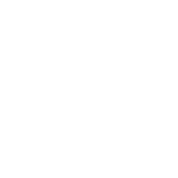Zum Neuen Schwanen